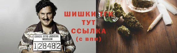 прущие крисы Вязьма